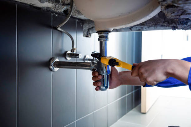 Best Commercial Plumbing Services  in Cabool, MO